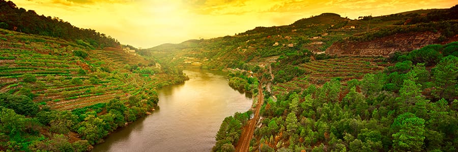 Douro River Cruise Portugal