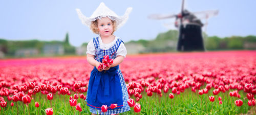 Cruise the Dutch Waterways to see Windmills & Tulips in Spring