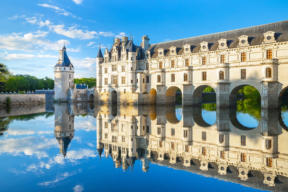 Explore the chateau and vineyards of the Loire River valley