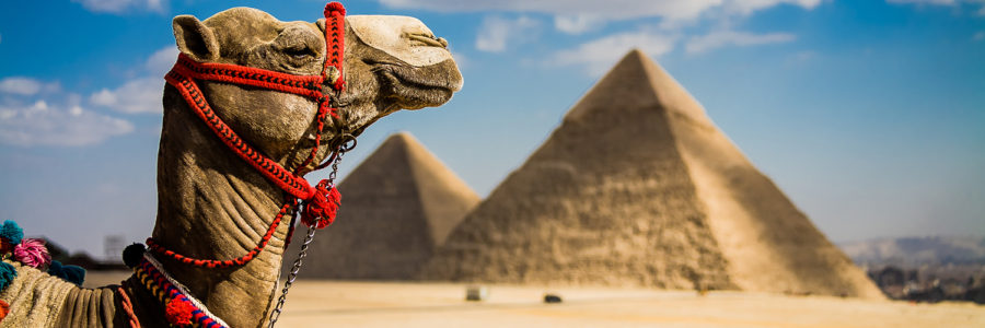 Cruise the famed Nile River of Egypt to see amazing antiquities