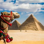 Sail the Nile River of Egypt to see historic antiquities and sites