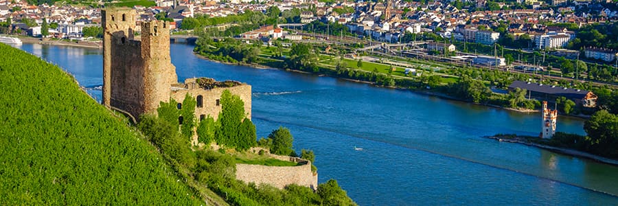 See historic castles along your Rhine River cruise