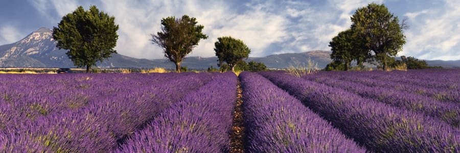 Sail thorough idyllic Provence France on your Rhone Saone River Cruise