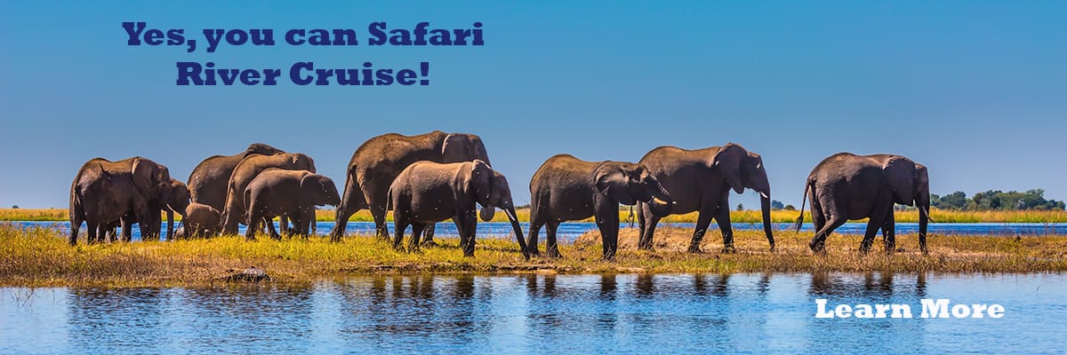 Take a Africa Safari river cruise on the Chobe River of Botswana