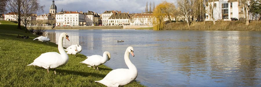 Visit Chalon-sur-Saone on the Saone River of France
